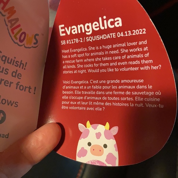 Valentine Cow Squishmallow Evangelica NWT - Picture 5 of 5